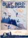 bluebird_small.jpg