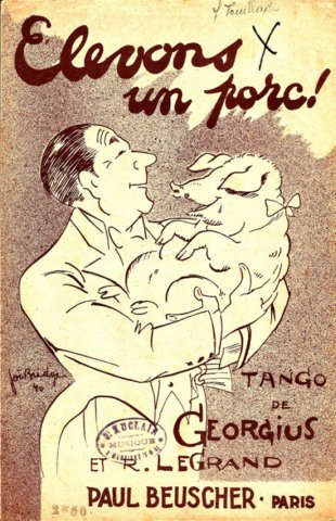 elevons_un_porc.jpg